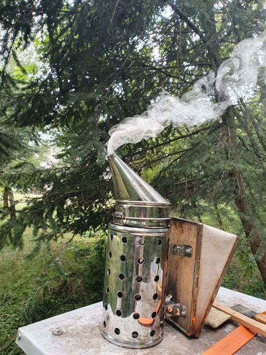 Snopki / sianko lawendowe do podkurzacza