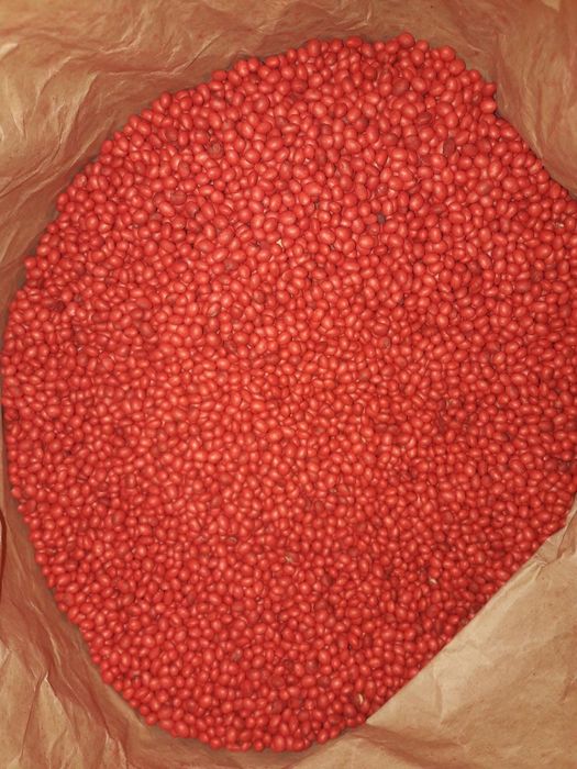 Насіння сої WINONA, ЕЛІТА, канадський трансгенний високоврожайний сорт