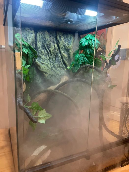 Mesa estante Rack c/ rodas prateleiras p/ Terrario 84cm X 54 x 88cm