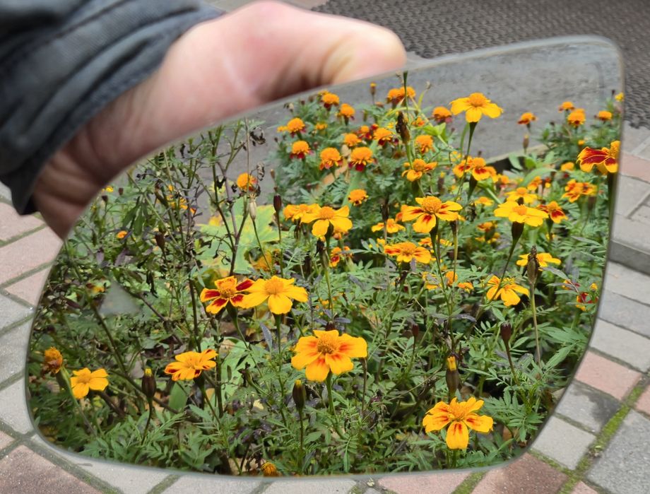 Заднє скло з підігрівом BMW X5 G05