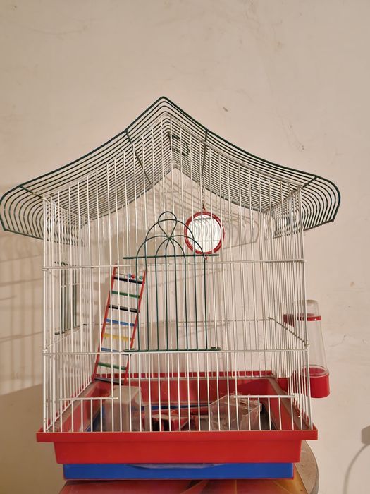 Клітка для папуги