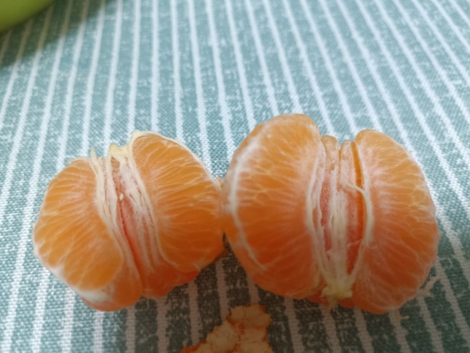 Tangerina Marroquina Doce - Vitamina C