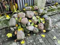 Kamienie głazy skalniak do ogrodu