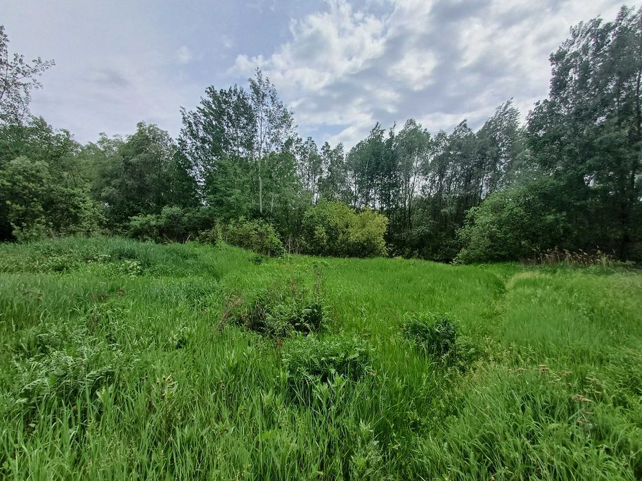 GA S4 Продам ділянку 50сот з озером, Хар.обл, смт Високий, с Іржавець.