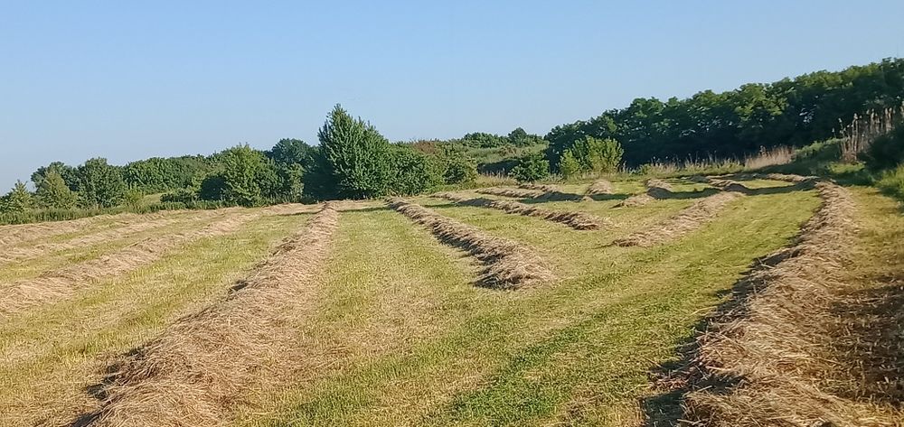 Продам сіно в тюках