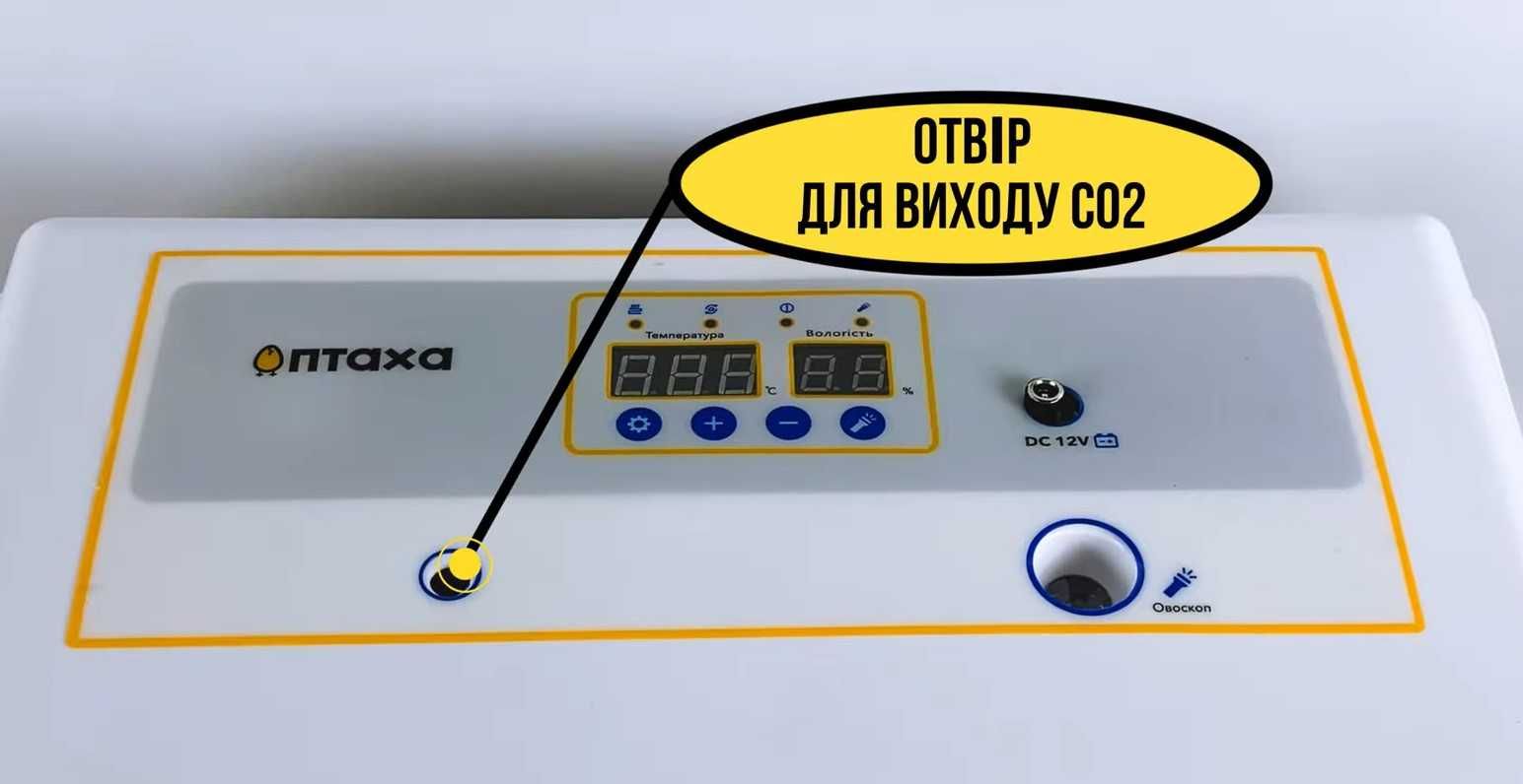 Распродажа! Инкубатор автоматический 12/220В. Інкубатор Птаха 198W