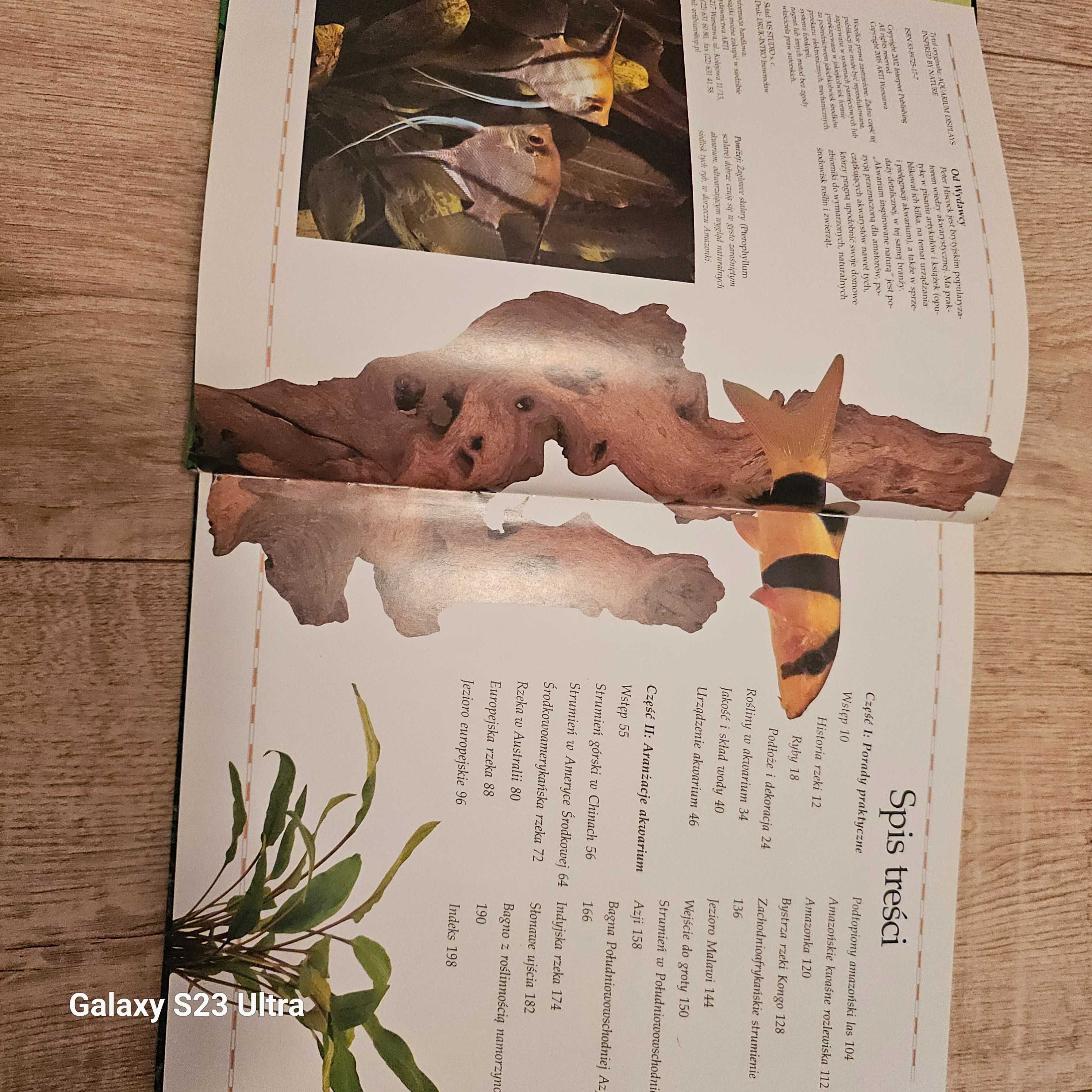 Akwarium inspirowane naturą. Peter Hiscock