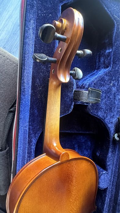 Viola Stentor II Nova