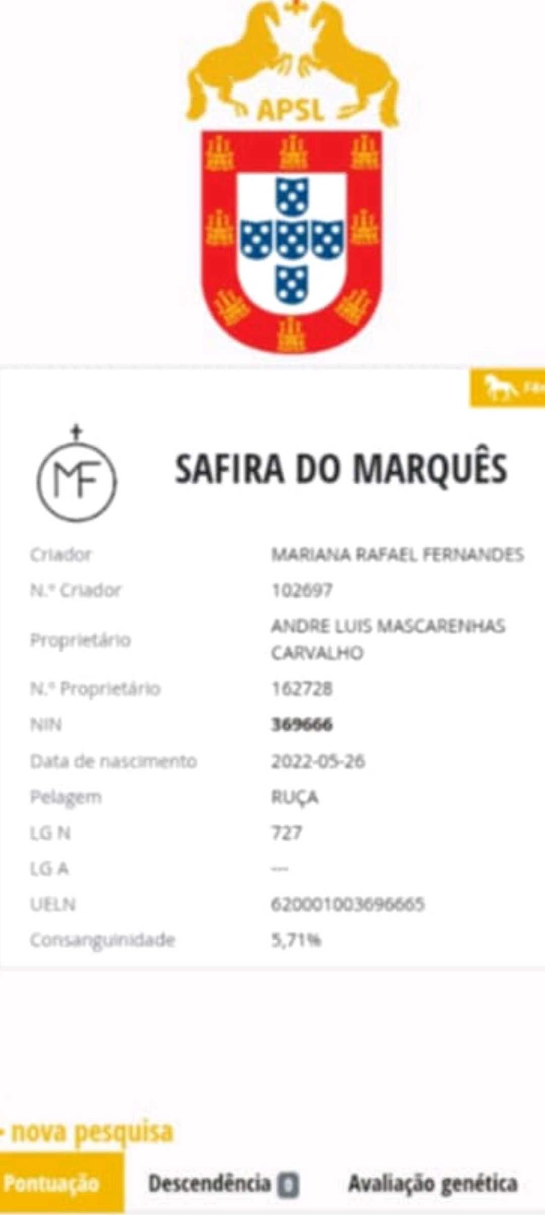 Poldra Lusitana exelente carácter