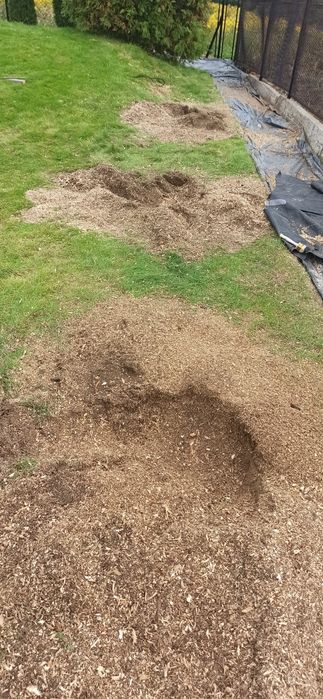 Frezowanie pni Glebogryzarka separacyjna Koparka łańcuchowa