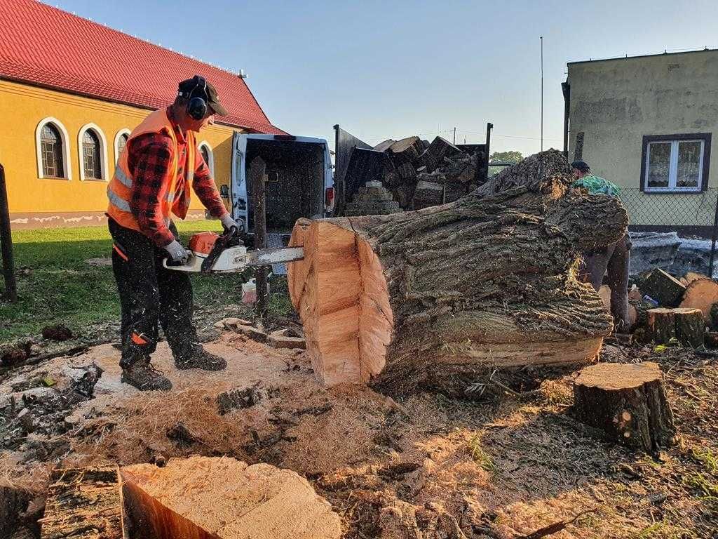 WYCINKA DRZEW ,frezowanie pni ,podnośnik koszowy 22m ,zwyżka ,rębak