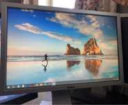 Monitor Dell 1909Wf