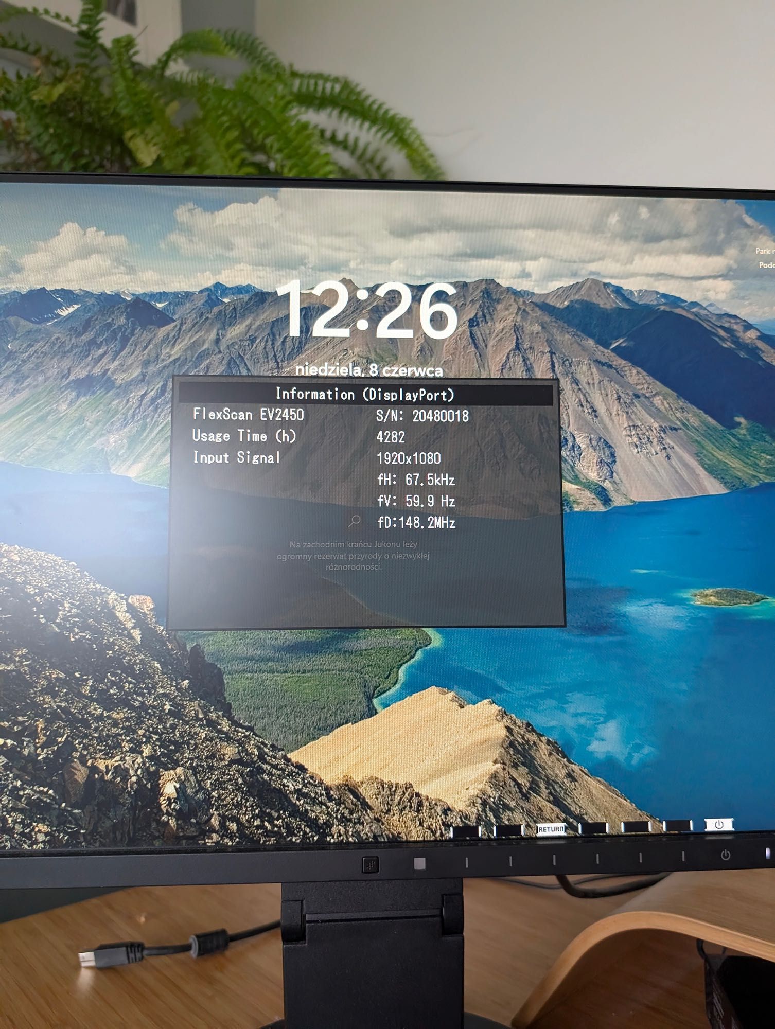 Monitor EIZO FlexScan EV2450 24" IPS 1920x1080 LED