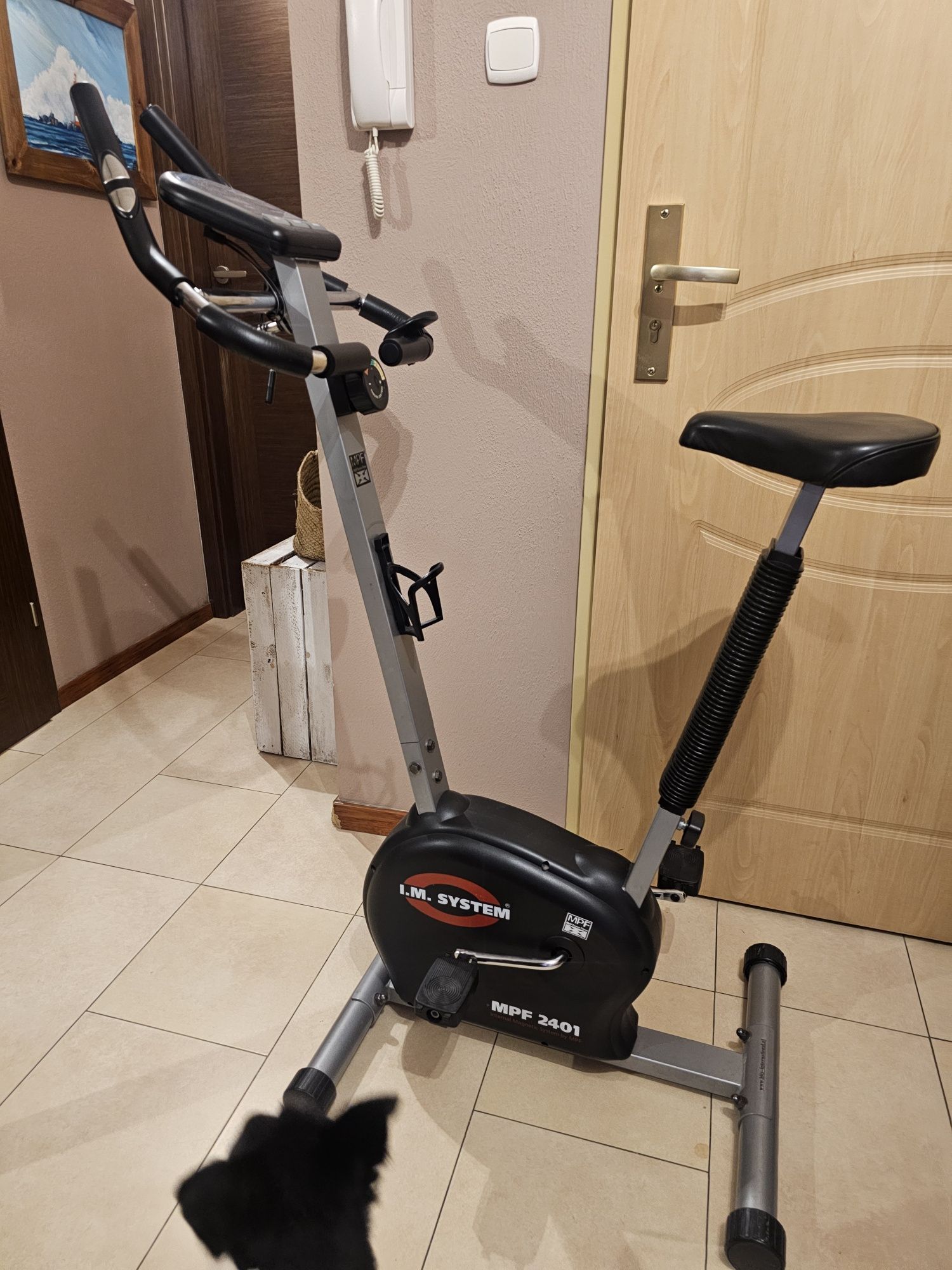 Rowerek stacjonarny treningowy