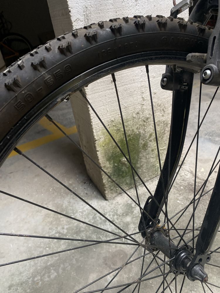 Bicicleta Estrada desportiva Team Adulto Velocidades