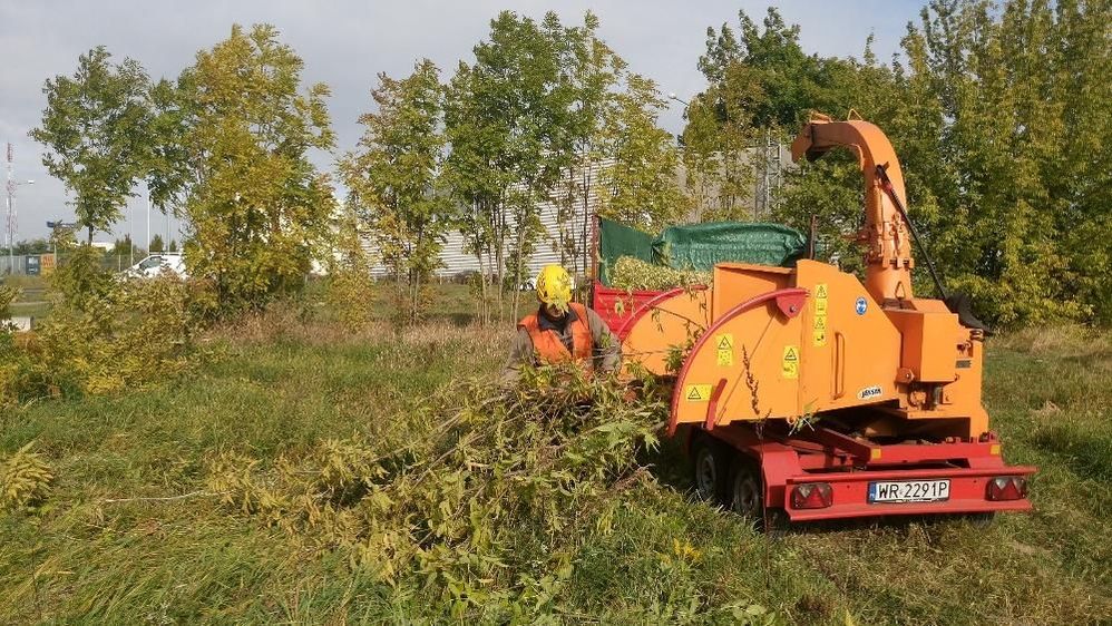 Wycinka drzew trudnych, rębakowanie, frezowanie pni, firma ALPINMED