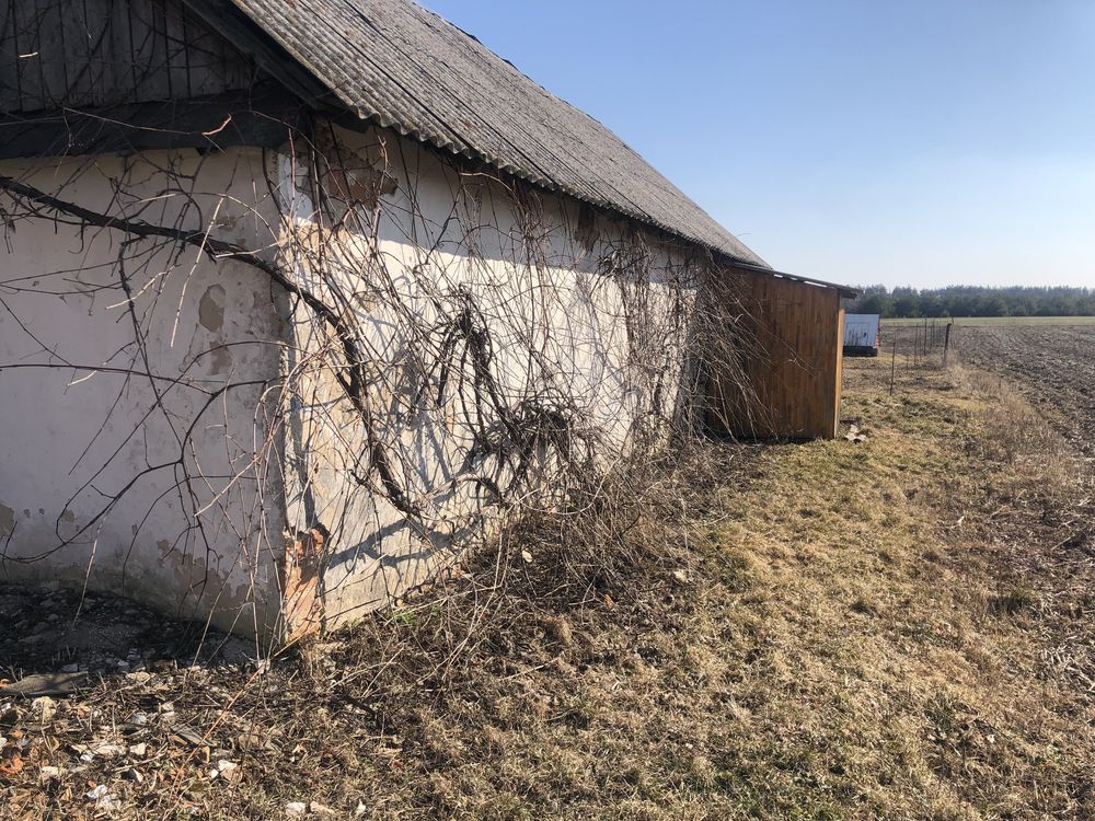 Дача будинок господарство земля