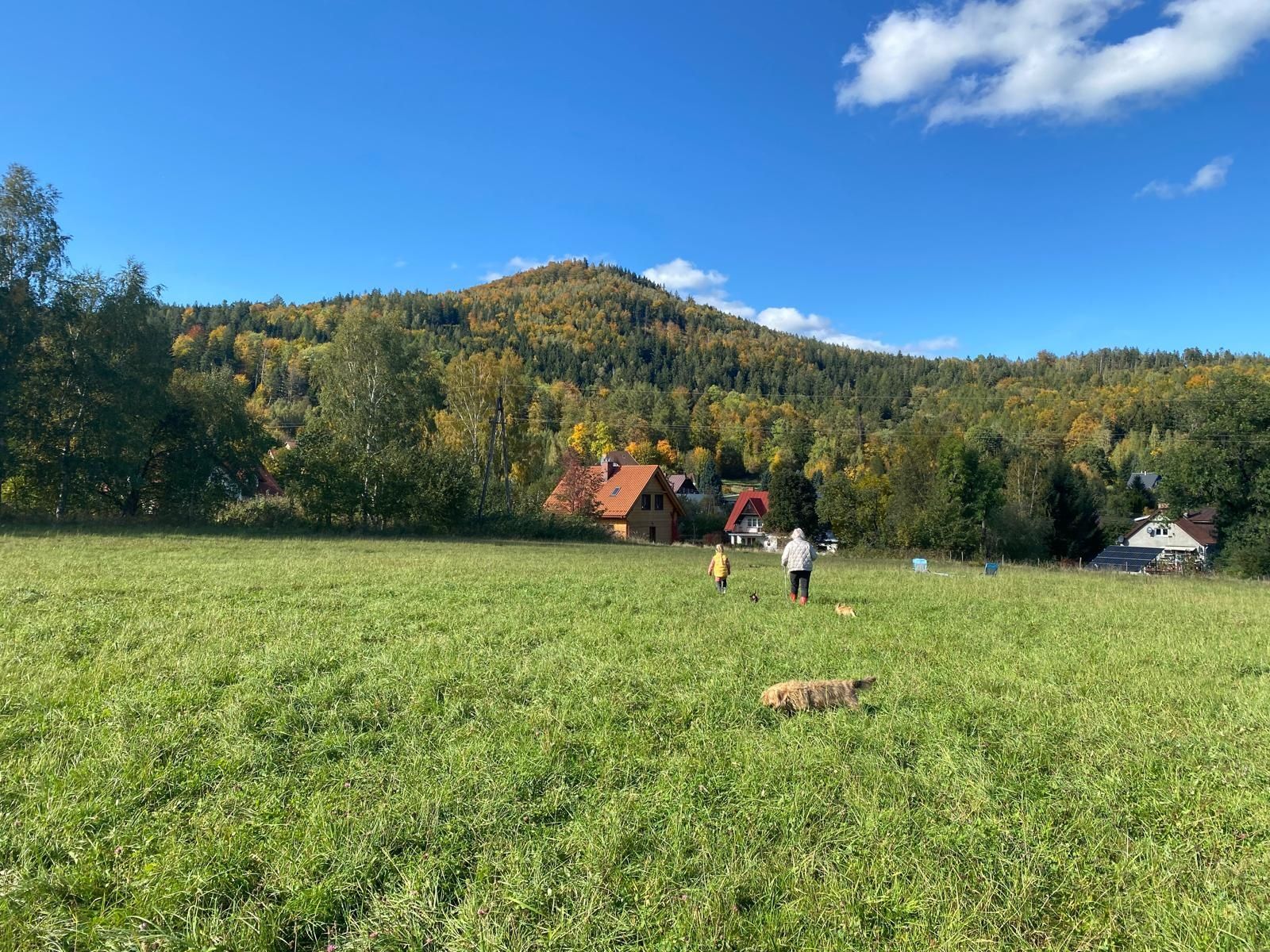 Wolny 23-25.08 i 18-27.09.Domek w Karkonoszach. Psy i koty gratis.