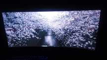 Alienware AW3418DW GSync com armbar.
