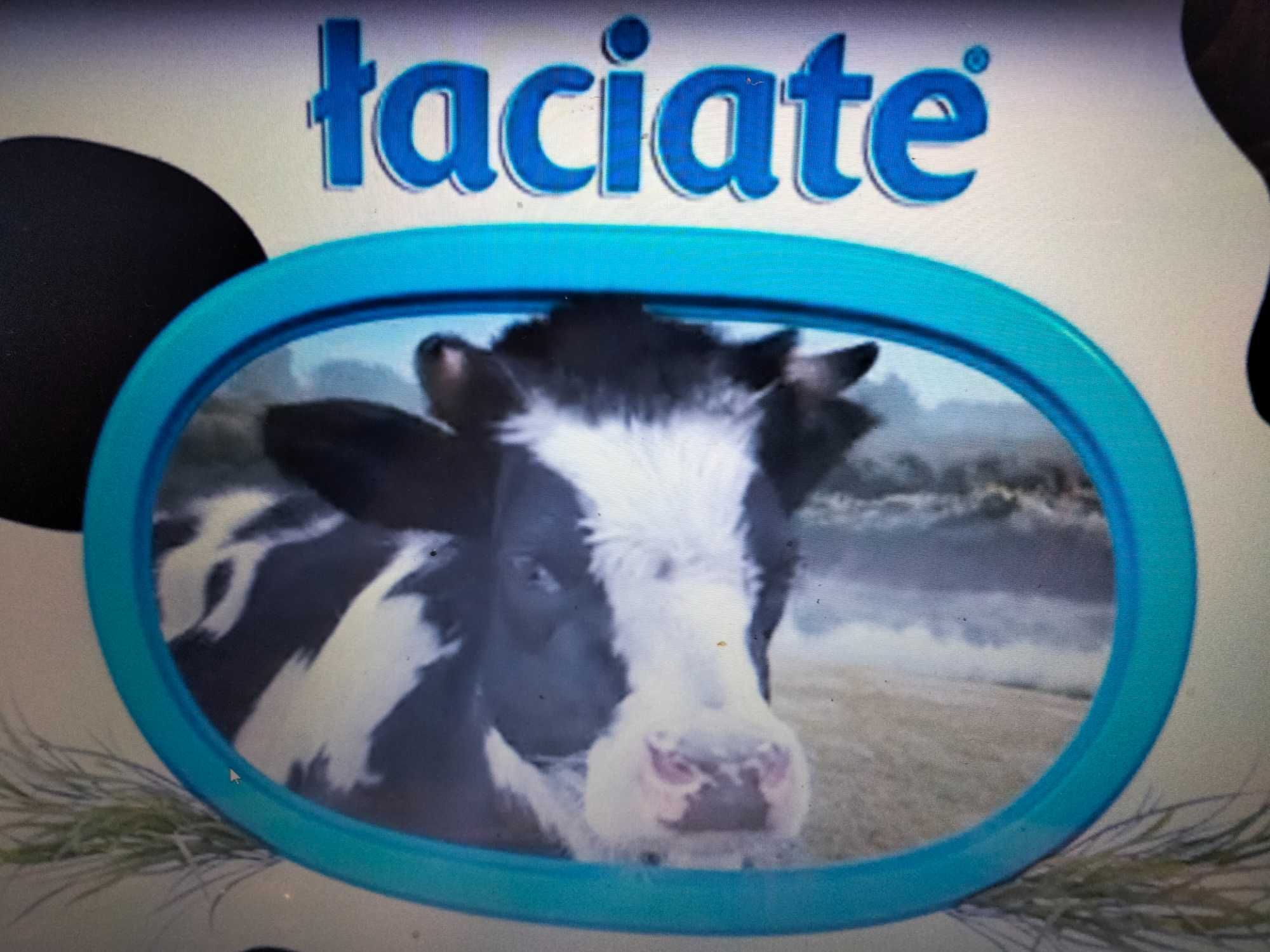 mleko dla cielat łaciate  odchów bez biegunek  bez problemów