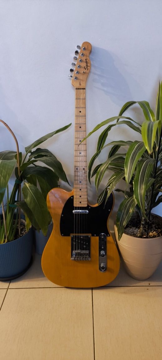 Squier Telecaster Affinity Serwis - gitara od lutnika