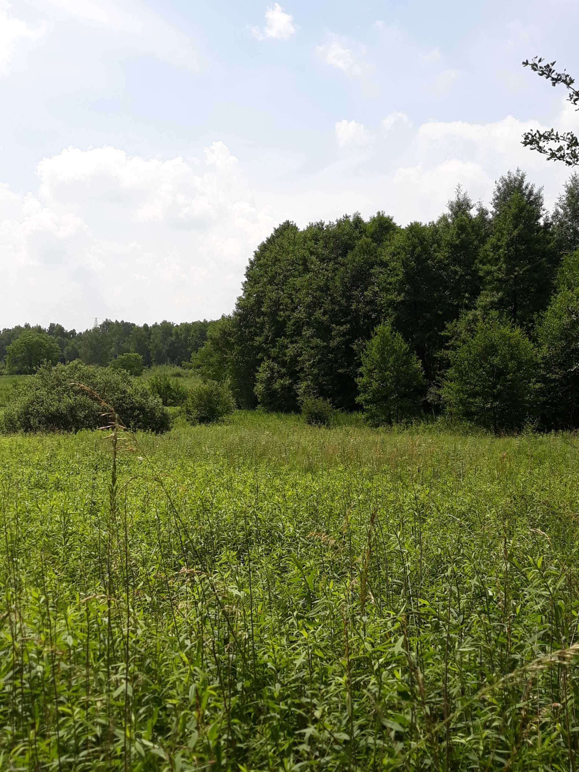 Okazja, działka rolna Kraków, Dębniki, 3000 m2