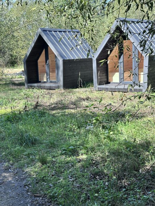 Сон на бджолах Апі хатина