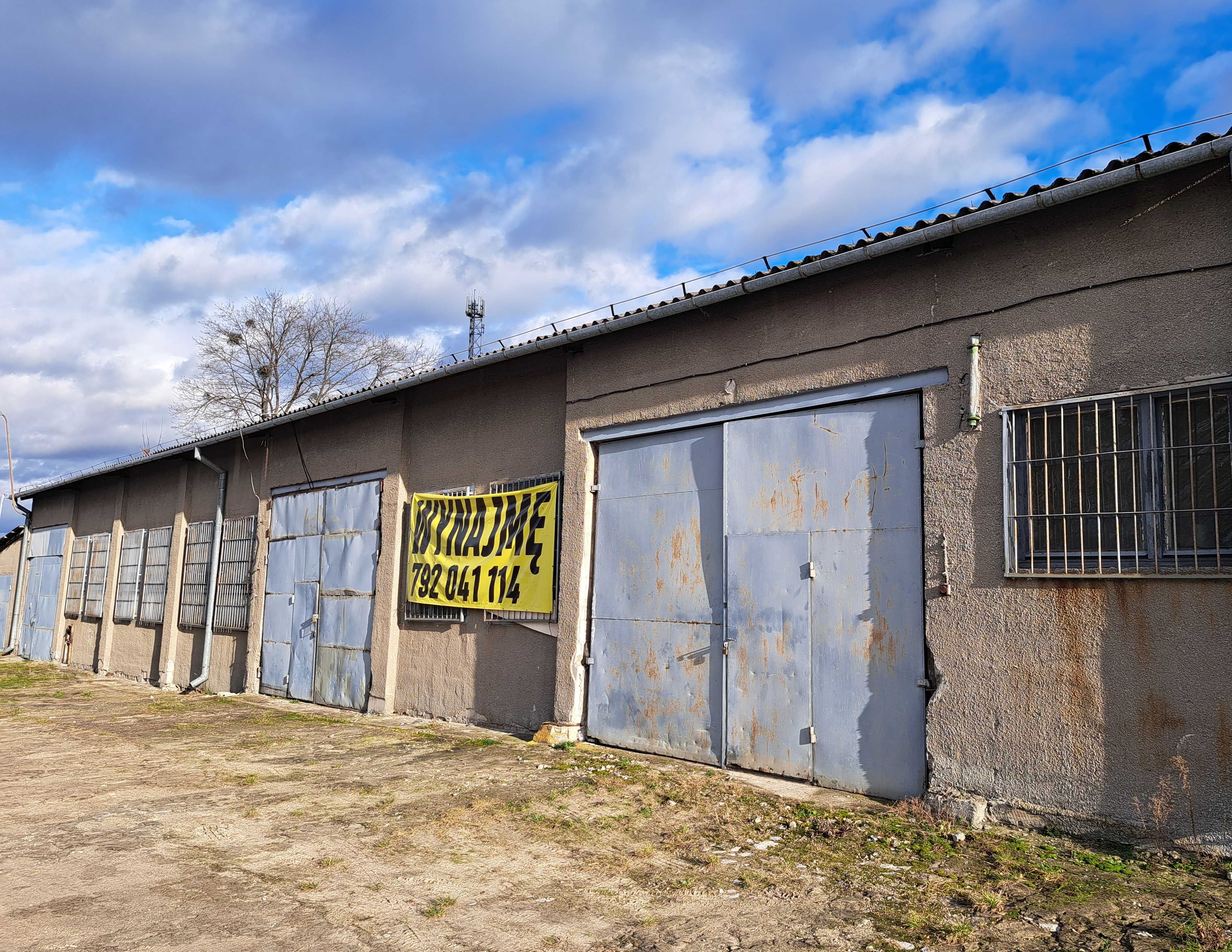 Magazyn dostępny od zaraz Łaziska, Opole Lubelskie