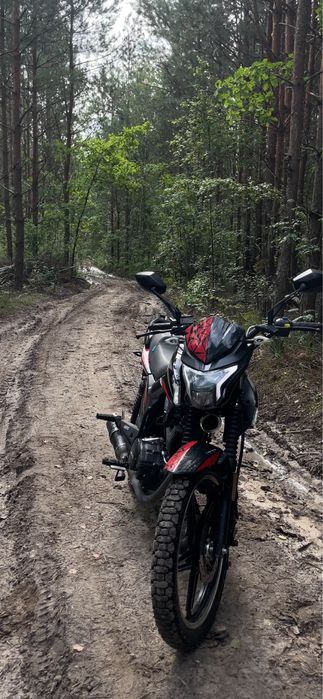 Продам Musstang fortuna 200