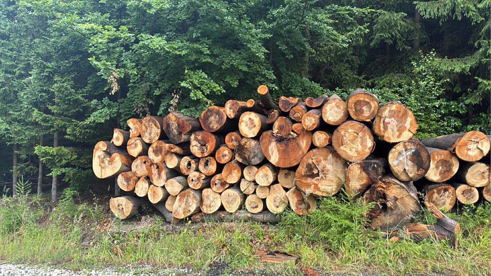 Sprzedam drewno opalowe,kominkowe,twarde,lisciaste,miekkie,iglaste