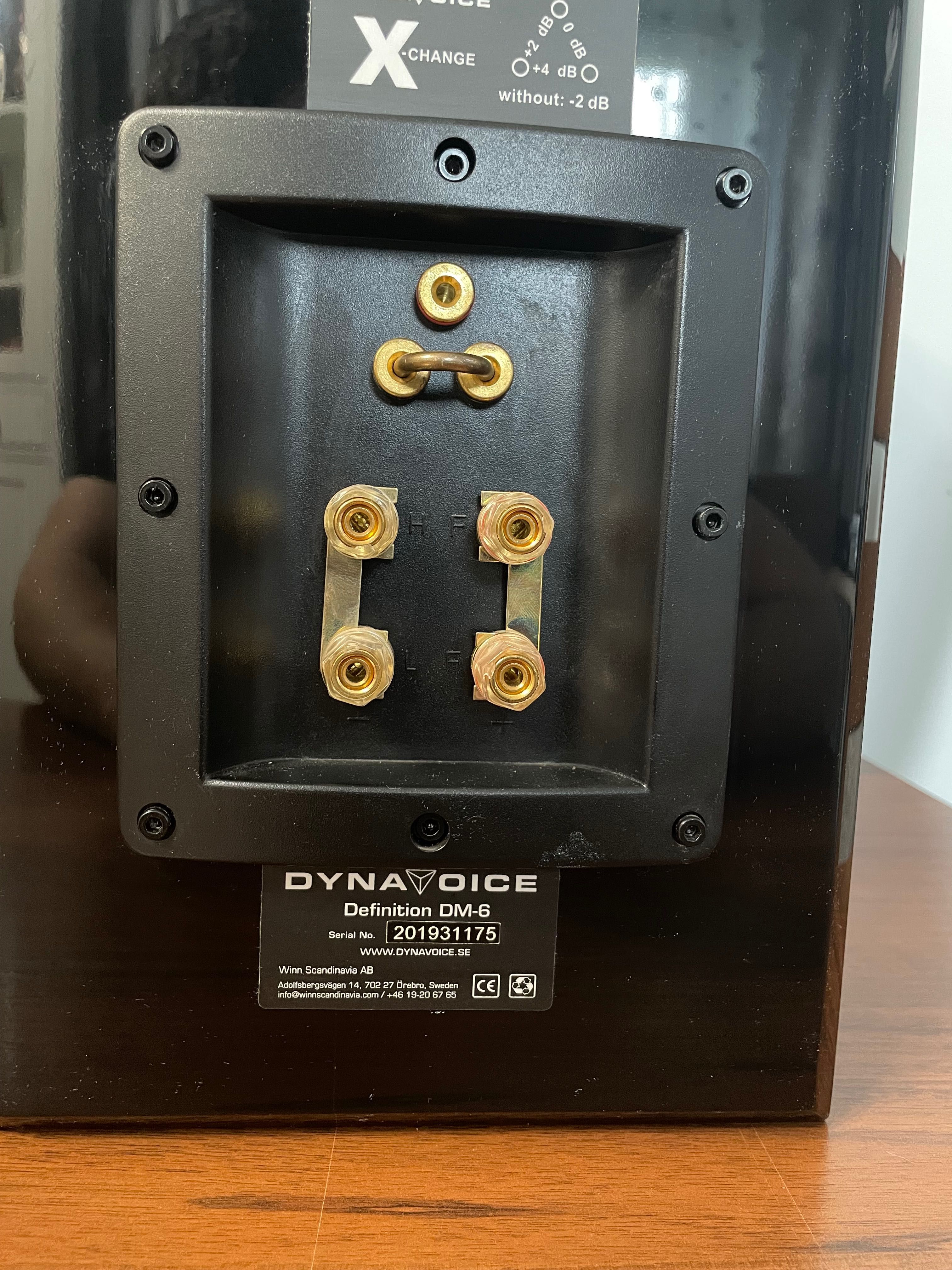 Dynavoice definition dm-6