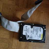 Twardy dysk western digital 80 GB