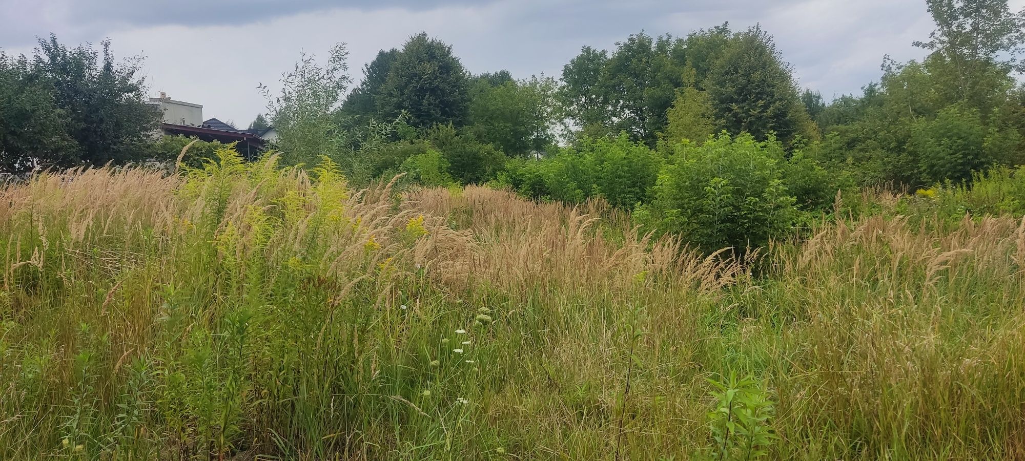 Sprzedam działkę 2065m² Osiedle Karolówka Zamość