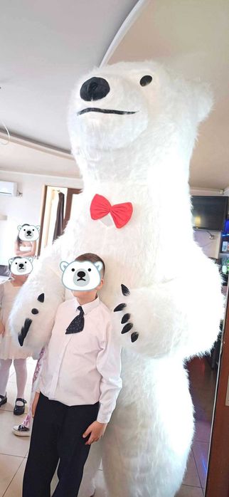 Wynajem misia, pandy i innych maskotek na imprezę! Miś wynajem Bałwan
