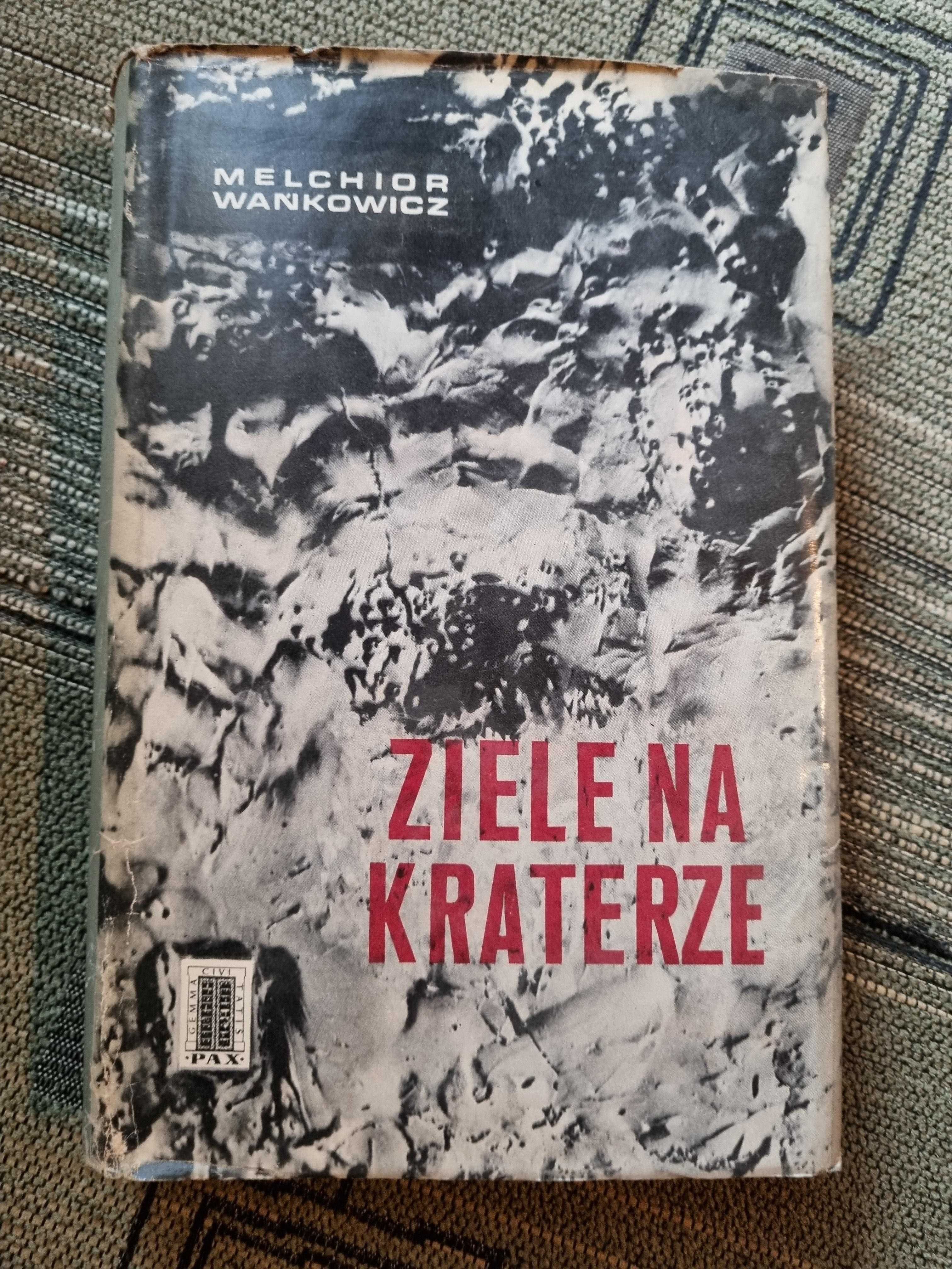 Ziele na Kraterze, Mielchor Wańkowicz, 1965r