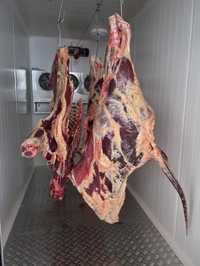 Mięso z bydła eko cielęce