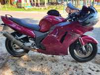 Honda cbr 1100xx Blackbird