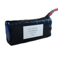 6s2p Аккумулятор для FPV дрона 10000mAh (NCA 50T 21700)