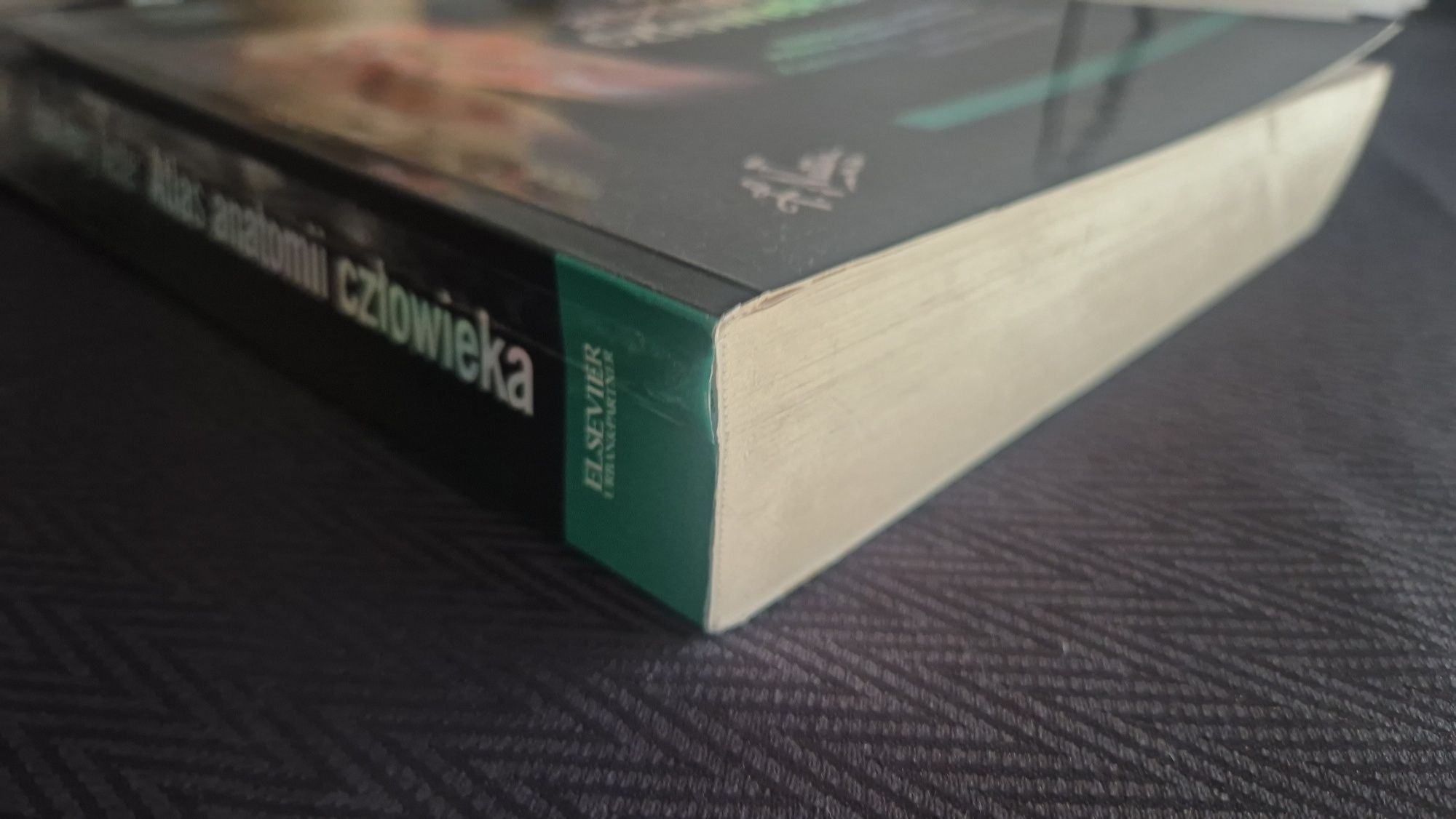 Atlas Anatomii Człowieka Frank Henry Netter
