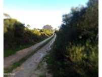 Terreno rustico com cerca de 55.000 m2 em Santarém