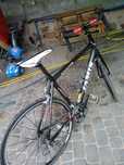 Rower Jamis Xsenith sport