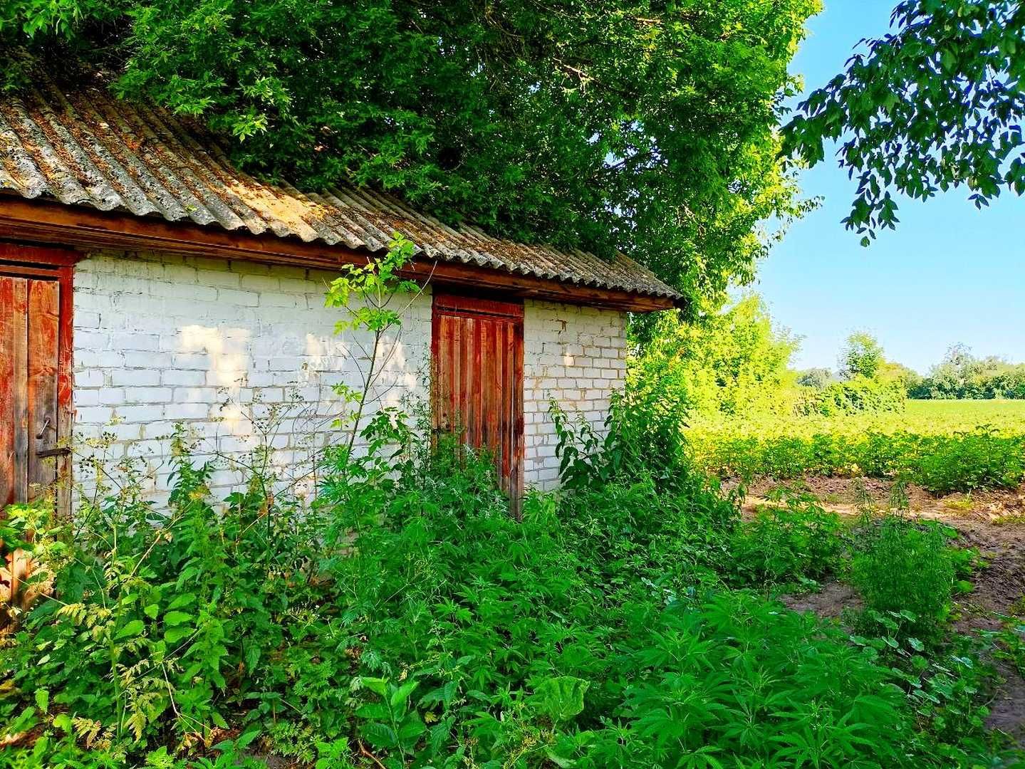 TO Хата у стародавньому селі Виблі