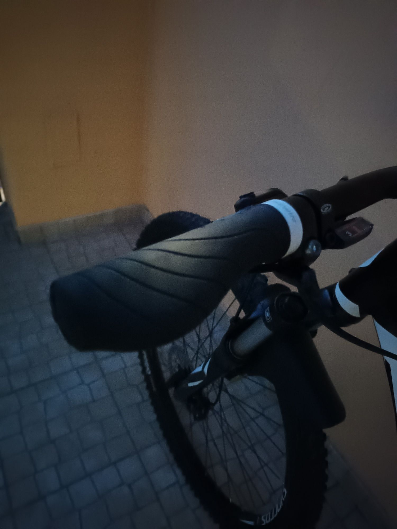 Scott, quadro L roda 29