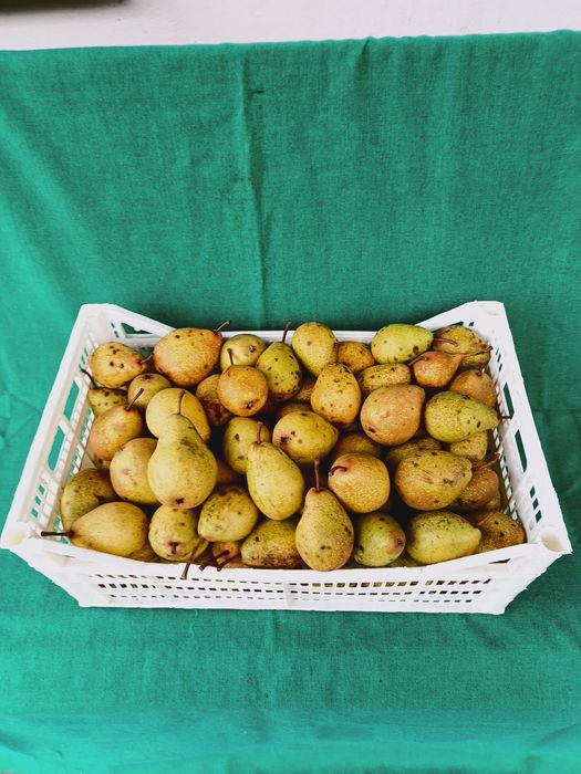 Gruszki ekologiczne 15kg