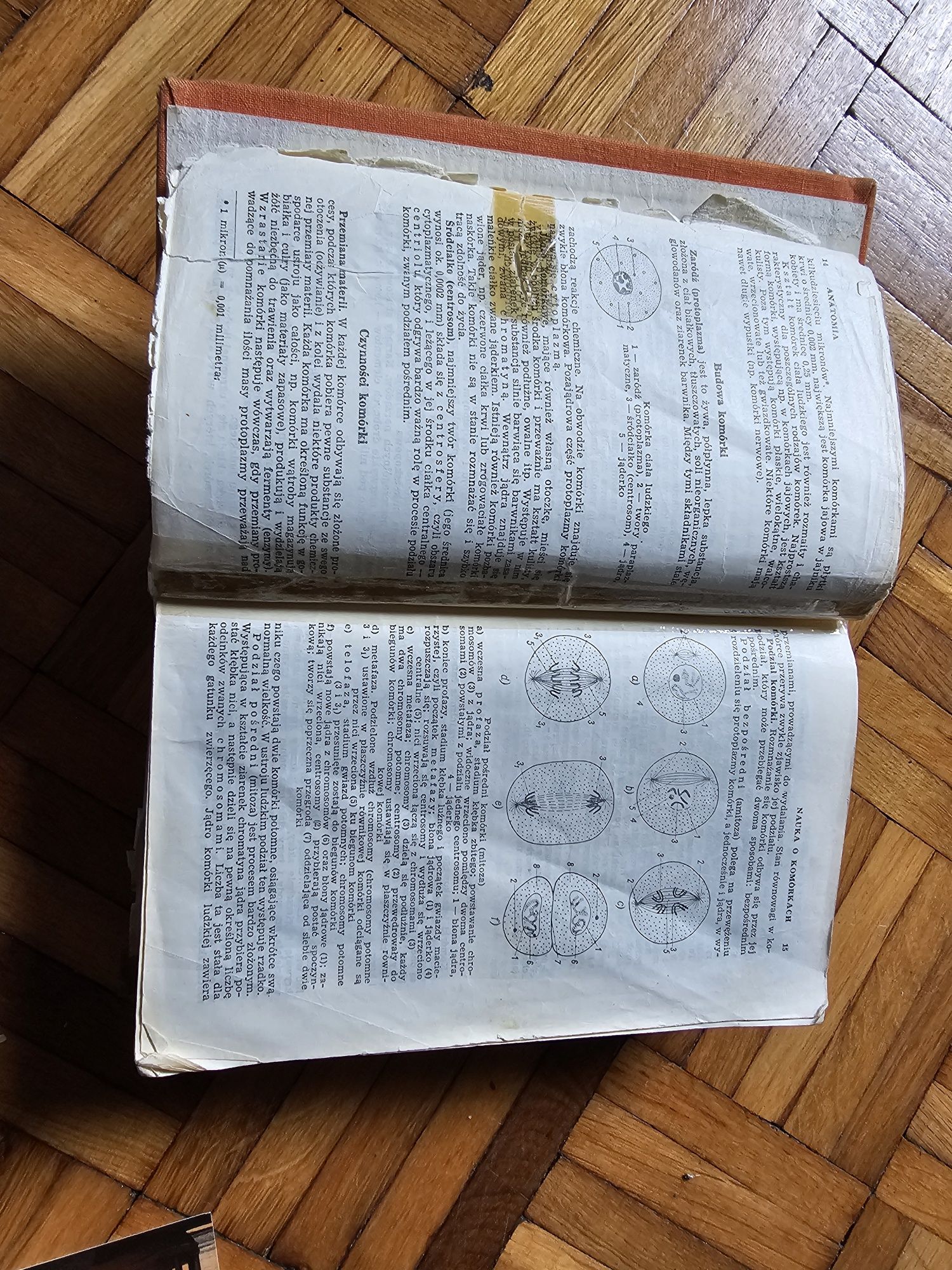 Mała encyklopedia zdrowia PWN