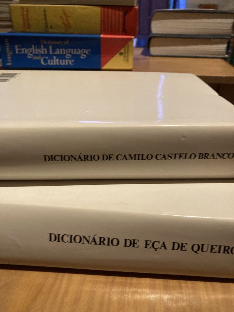 Dicionario de Eça de Queiroz e dicionario de Camilo Castelo Branco