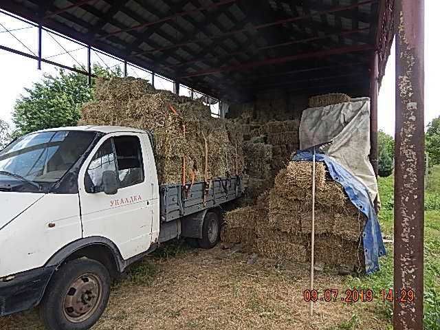 Продам сено в тюках, луговое