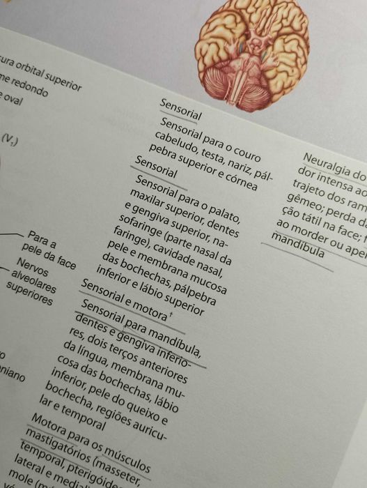 Anatomia e Fisiologia de Seeley (10ª Edição)