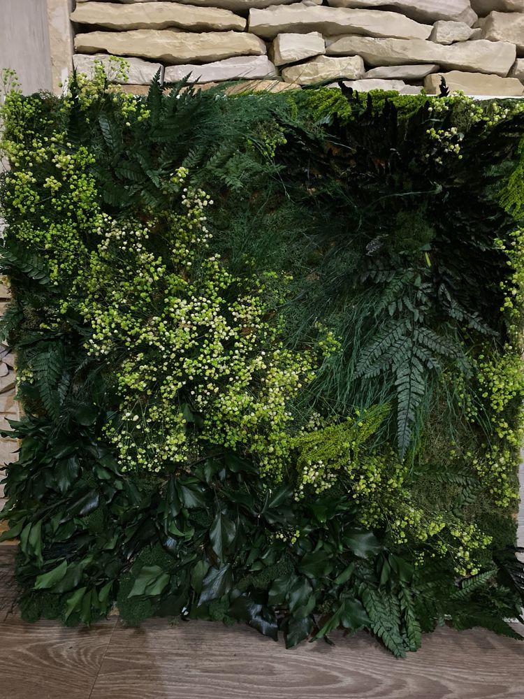 Zielona ściana z roślin stabilizowanych