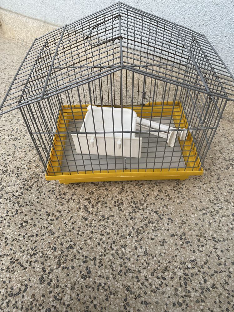 Gaiola como nova